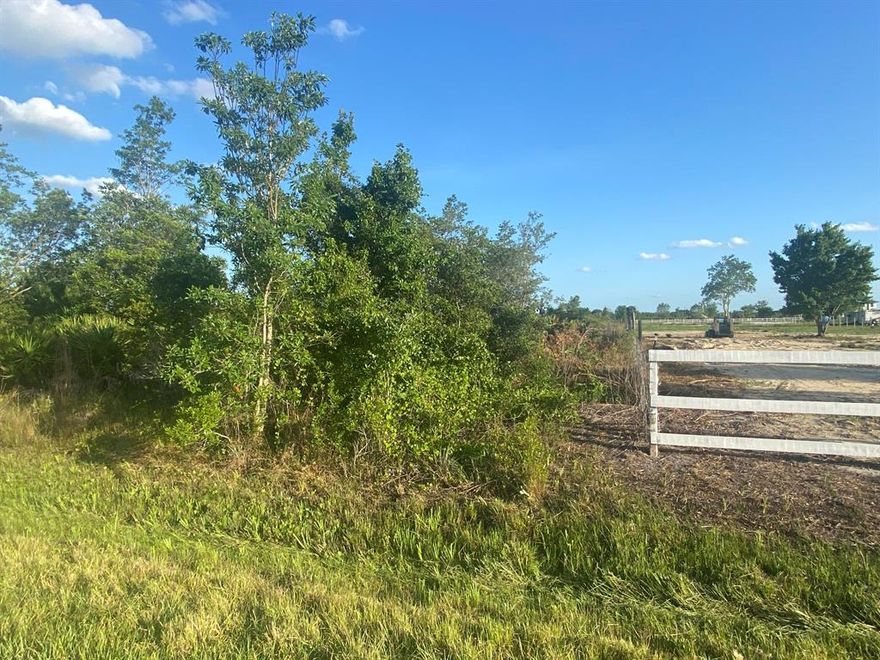 Build or bring your dream home and barn on this beautiful and private 1.25 acre not far off of the main road but yet still private. there are power poles on this street. So much to enjoy in Okeechobee County. Come to The Kissimmee River Preserve State Park West of this area as well is the Kissimmee River. The Kissimmee River flows into Lake Okeechobee and is well known for some of the best fishing. whether you like Fishing, hunting, mudding agriculture or just privacy here you have it all.