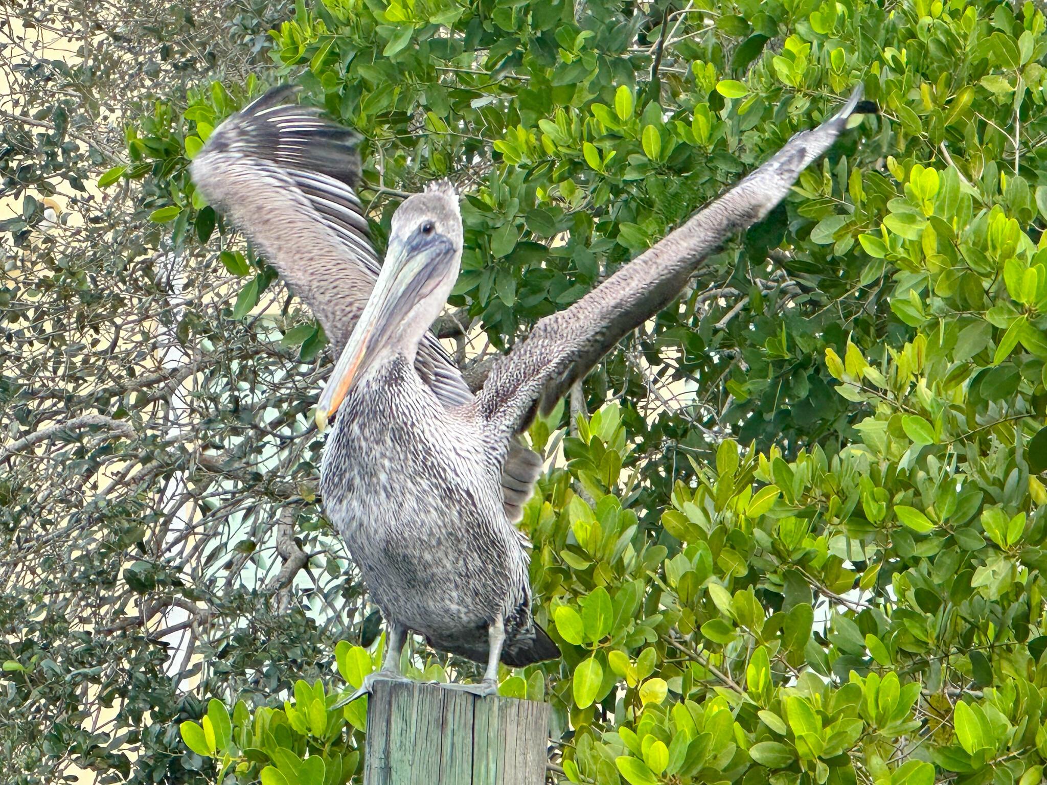 PORT SEWALL REALTY COS SU - Residential