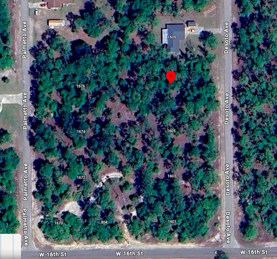 Lots of land space for your dream home. Half acre lot on paved road. From 16th St W, its the 4th lot on left. Quiet street in fast growing city. Short drive to the big city of Ft. Myers and lots of shopping and amenities. Bring offers.