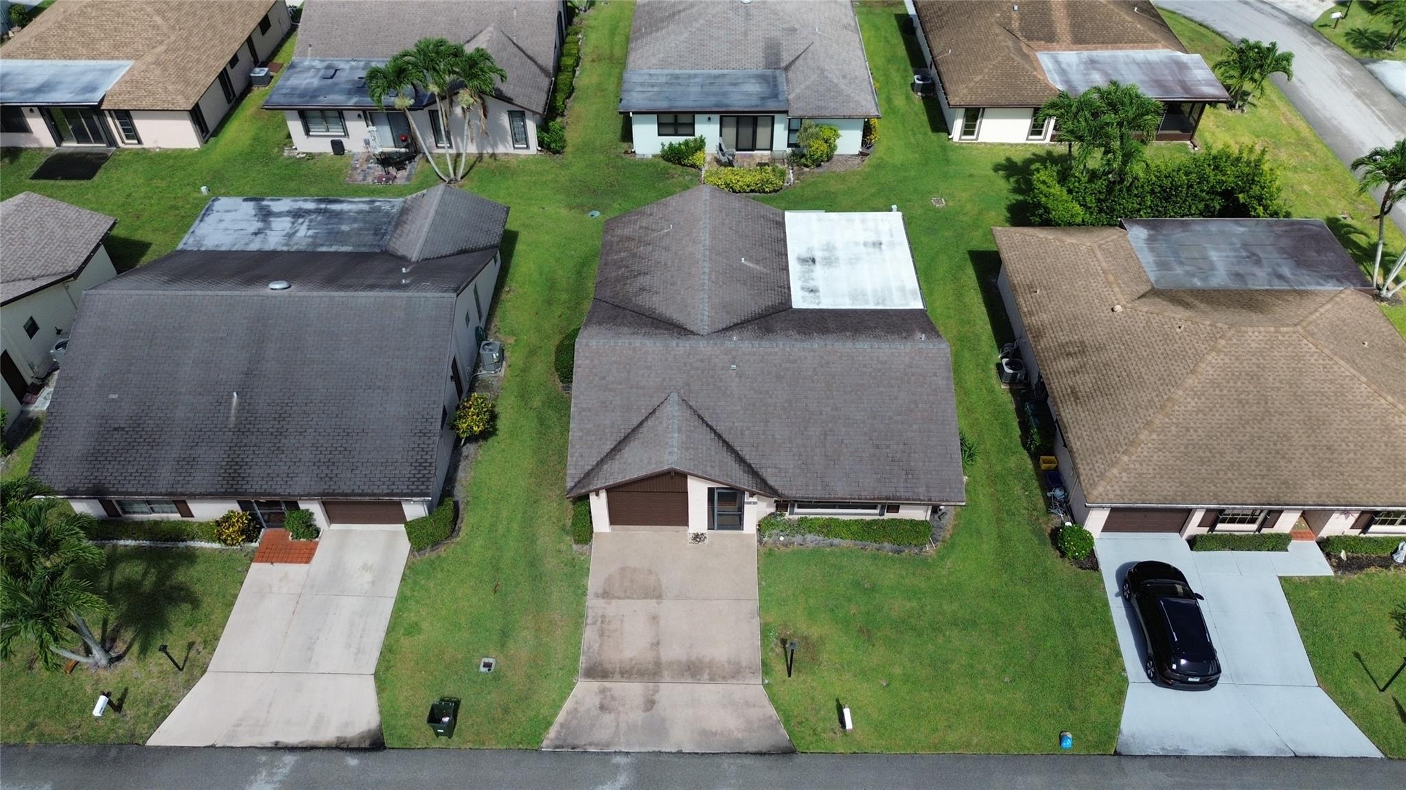 3305 Silver Buttonwood Dr