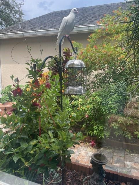 Pine Ridge At Delray Beac - Residential