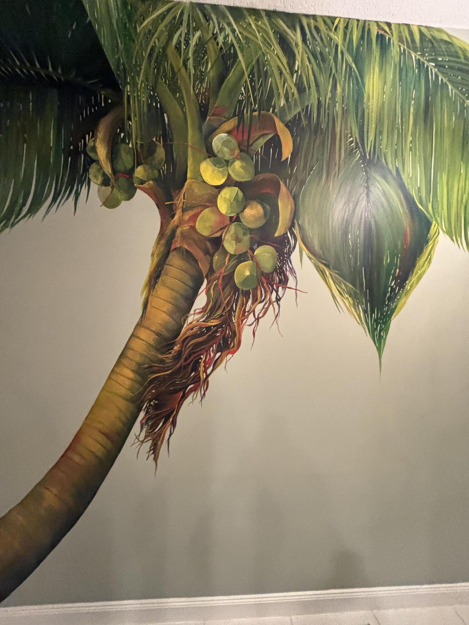 12 Harbour Isle Drive W 204