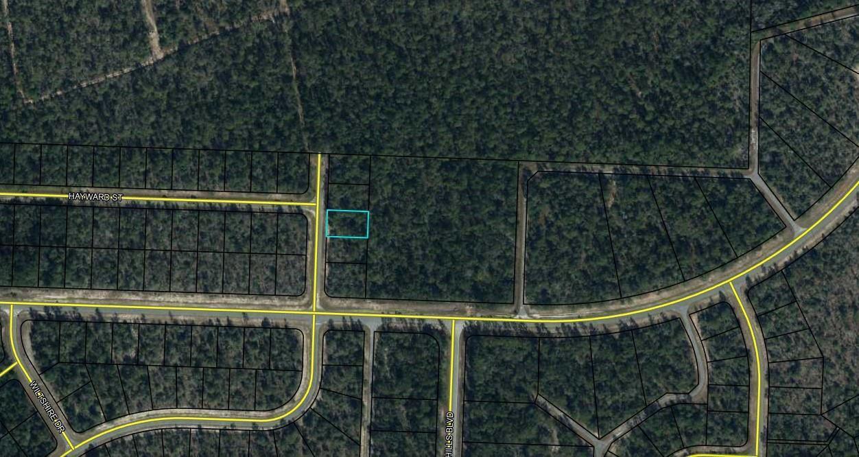 Tbd Sullivan Drive 1