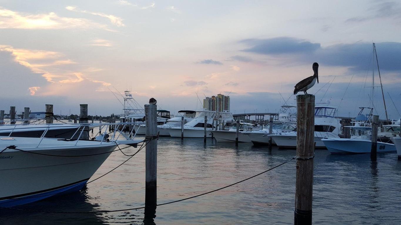 PALM BEACH ISLES 2 - Residential Lease