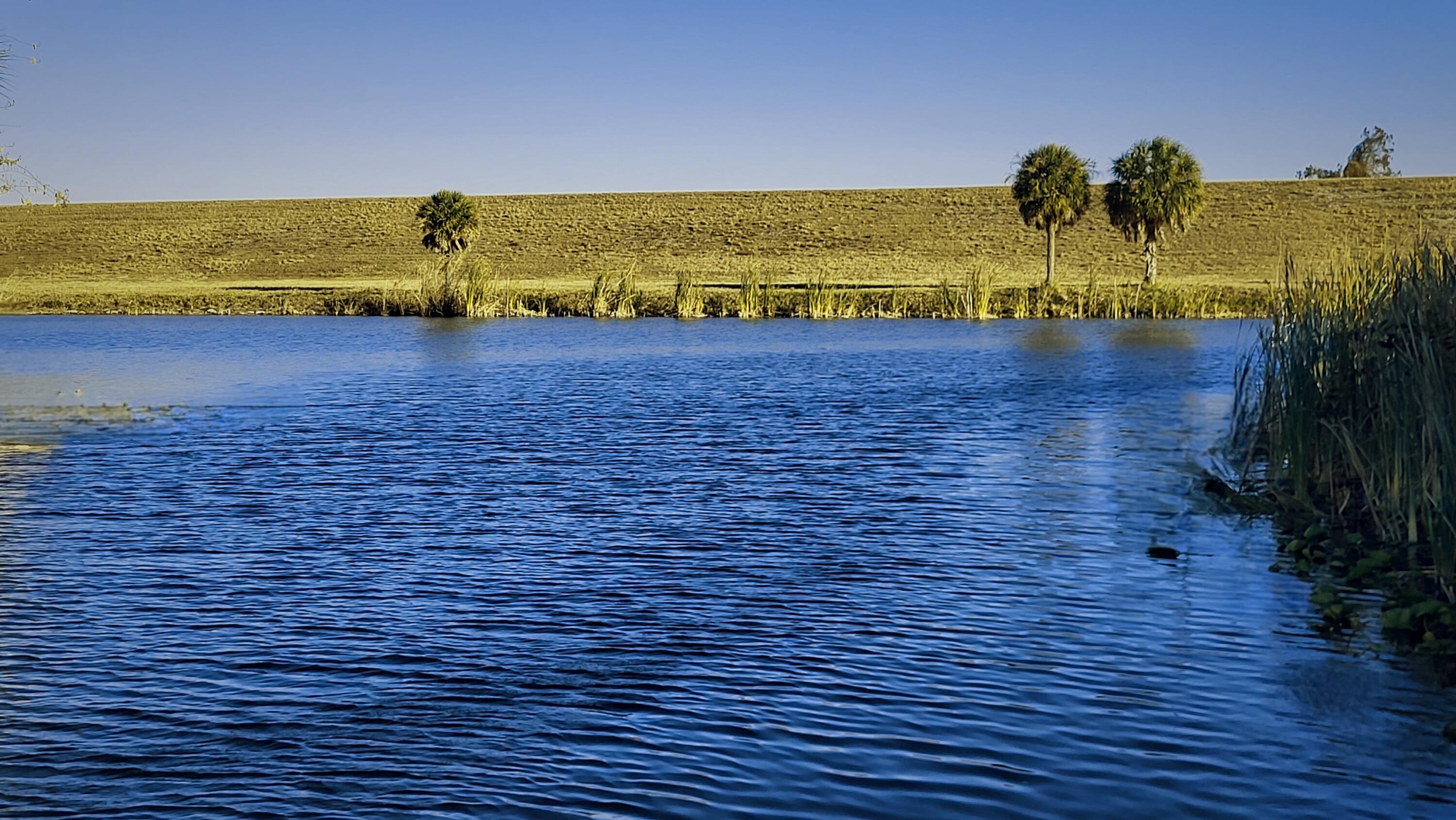 TURTLE COVE R V CONDO - Residential