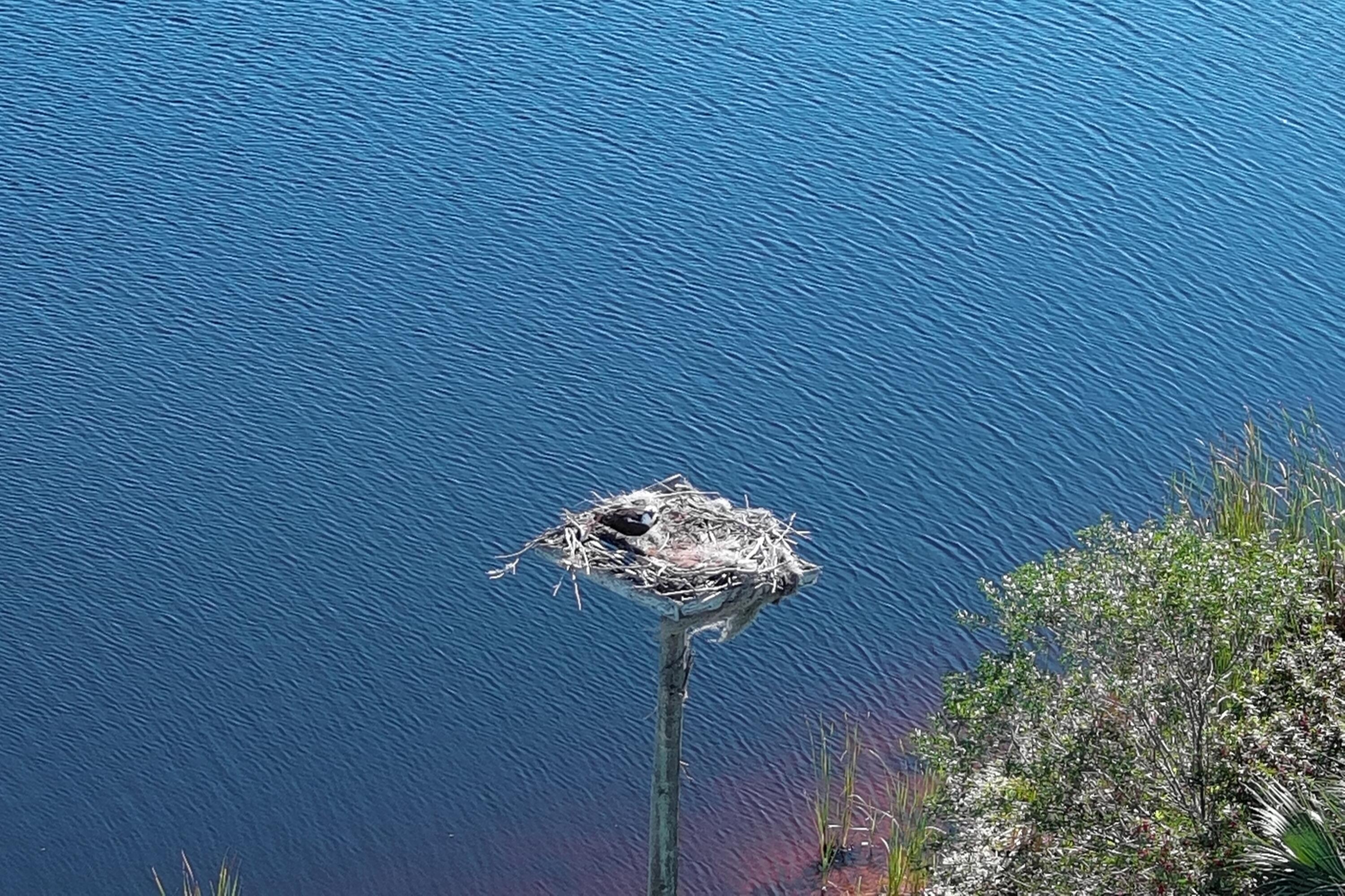 TURTLE COVE R V CONDO - Residential