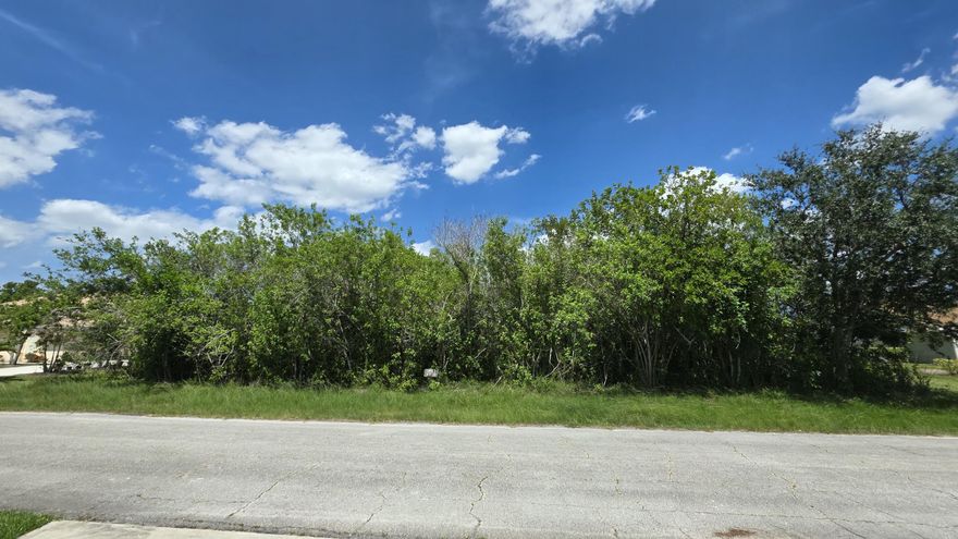 Sales contract assignment NOT PERMITTED. Major opportunity to  build your own home, your style. Investor's opportunity