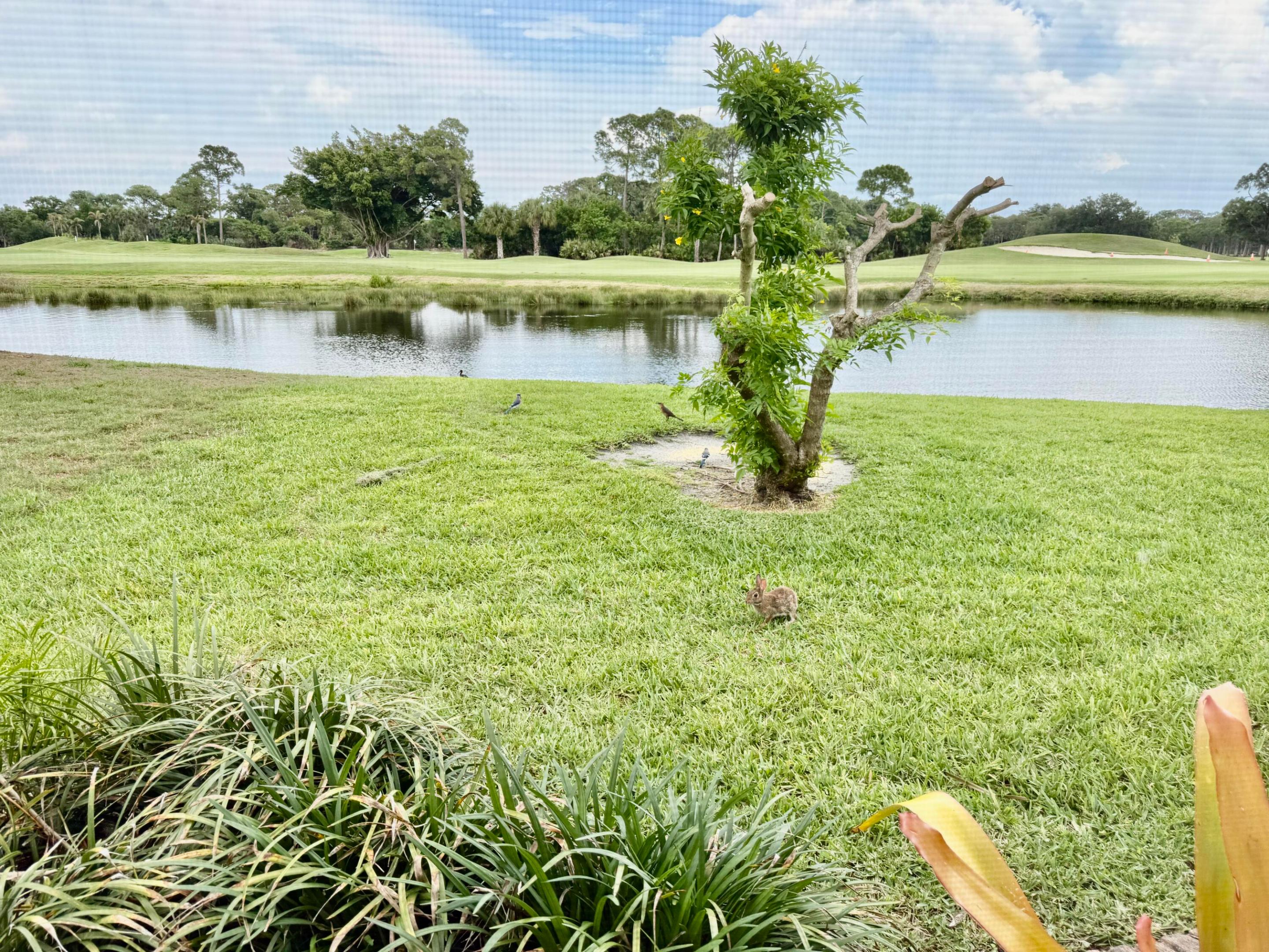 FAIRWAY ISLE PARCEL 8 BLK 15 - Residential