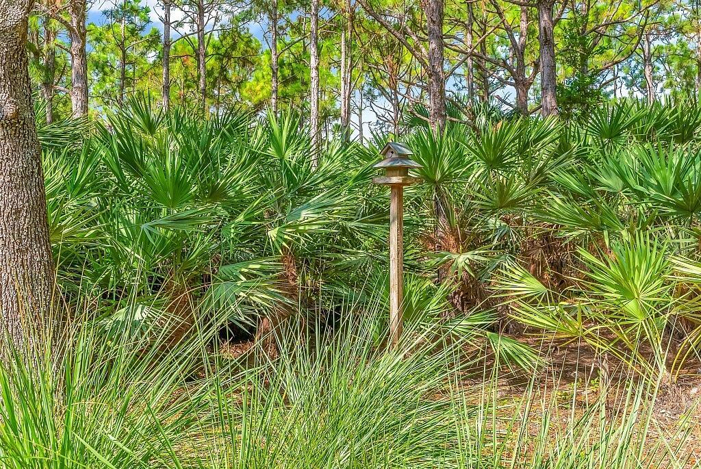 EVERGRENE PCD 4 - Residential Lease