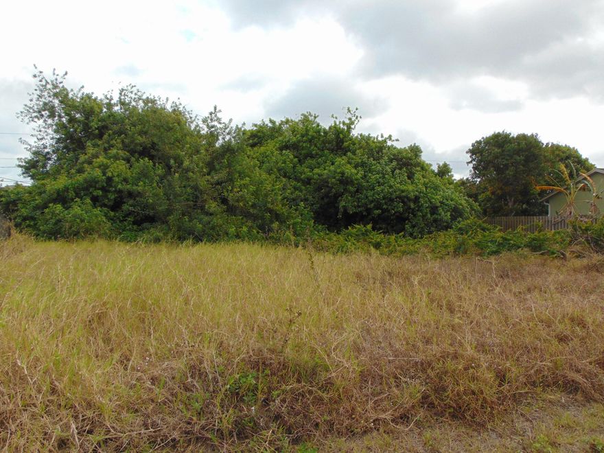LOCATION, LOCATION, LOCATION! Build your dream home here! This lot is walking distance to Turtle Run Park. It is also centrally located to the Turnpike, shopping and other popular areas.