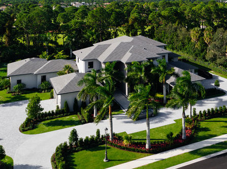 OLD PALM - Residential