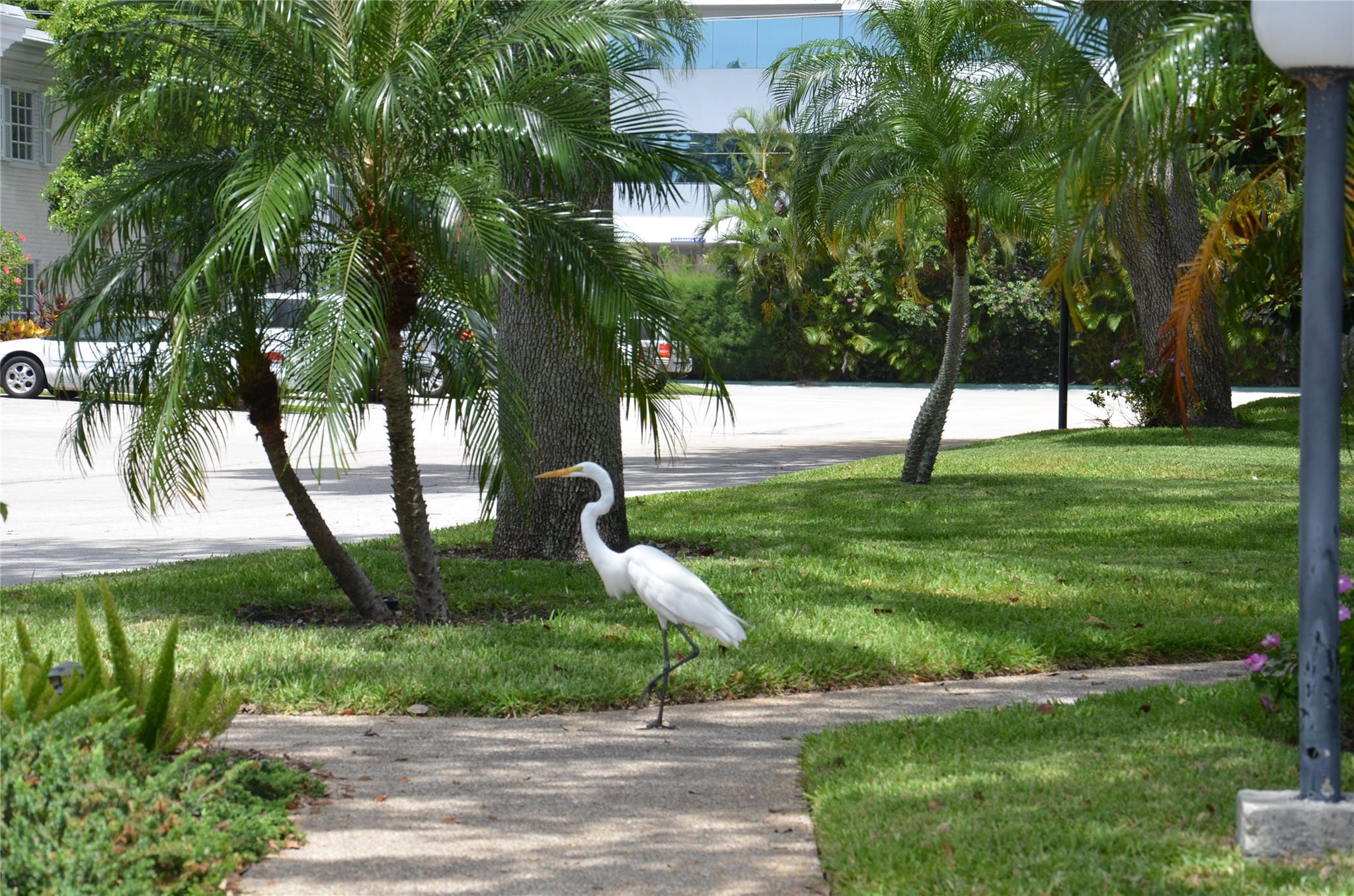 Bay Colony Club Condo - Residential Lease