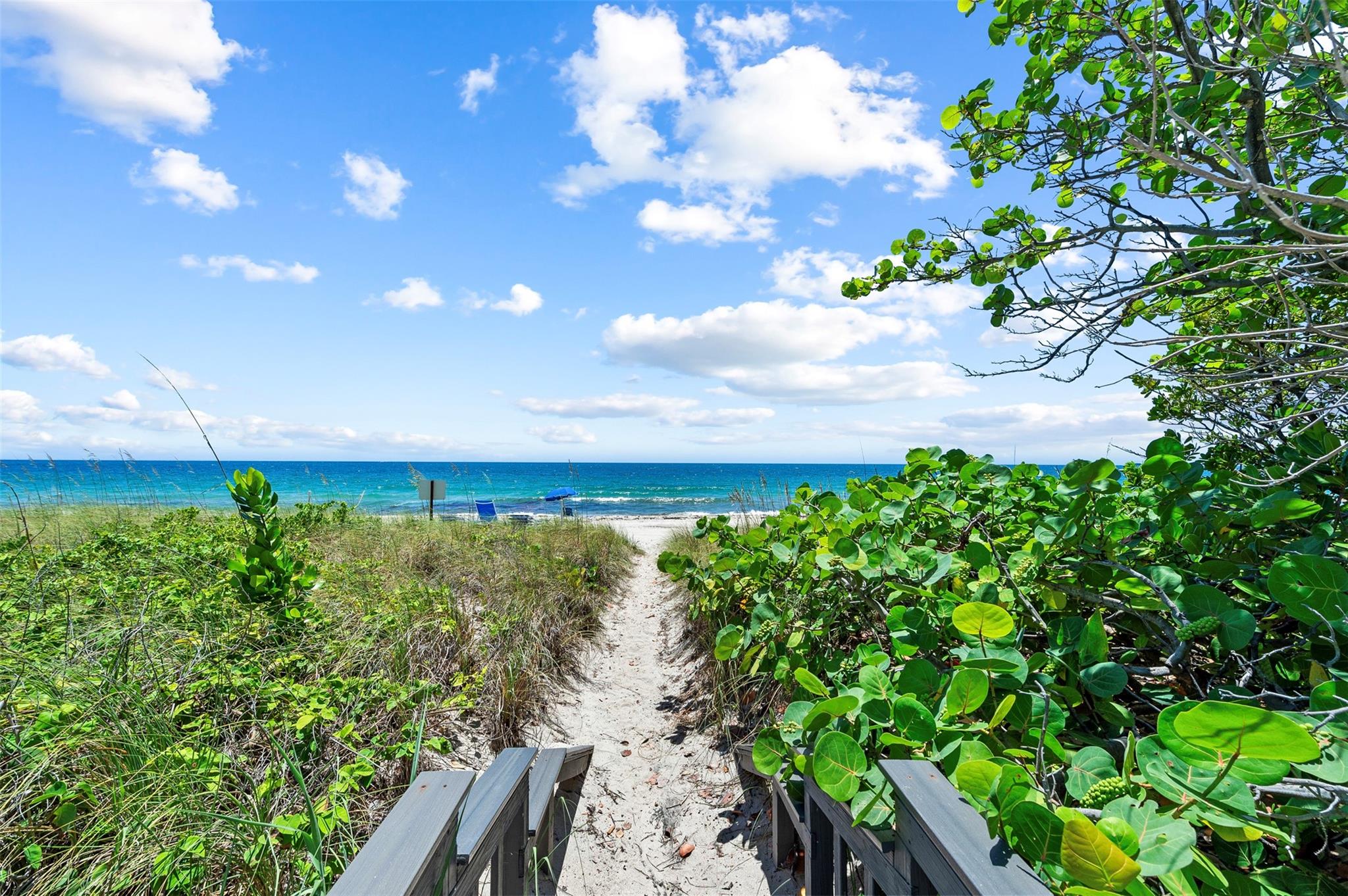 The Shore Club - Residential