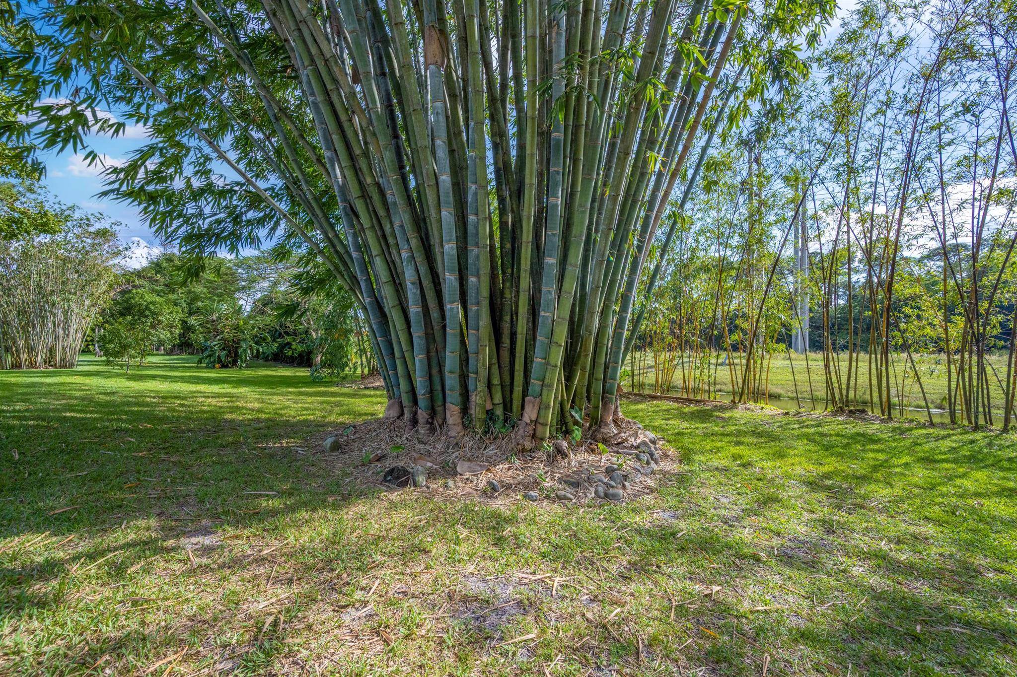 PINEWOOD EAST OF WELLINGT - Residential Lease