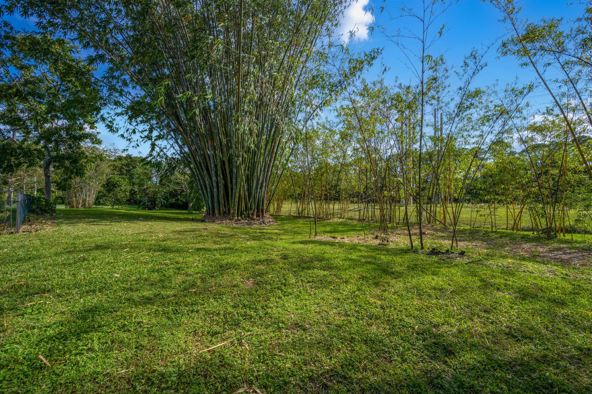 PINEWOOD EAST OF WELLINGT - Residential Lease