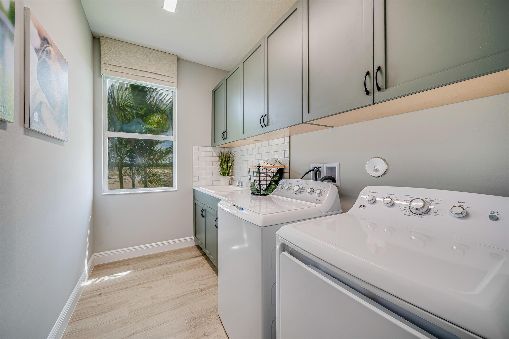 BELTERRA PHASE 1 PLAT 1 - Residential