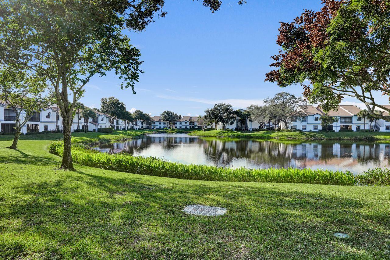 ALEXANDRA VIILAGE / PLATINA - Residential