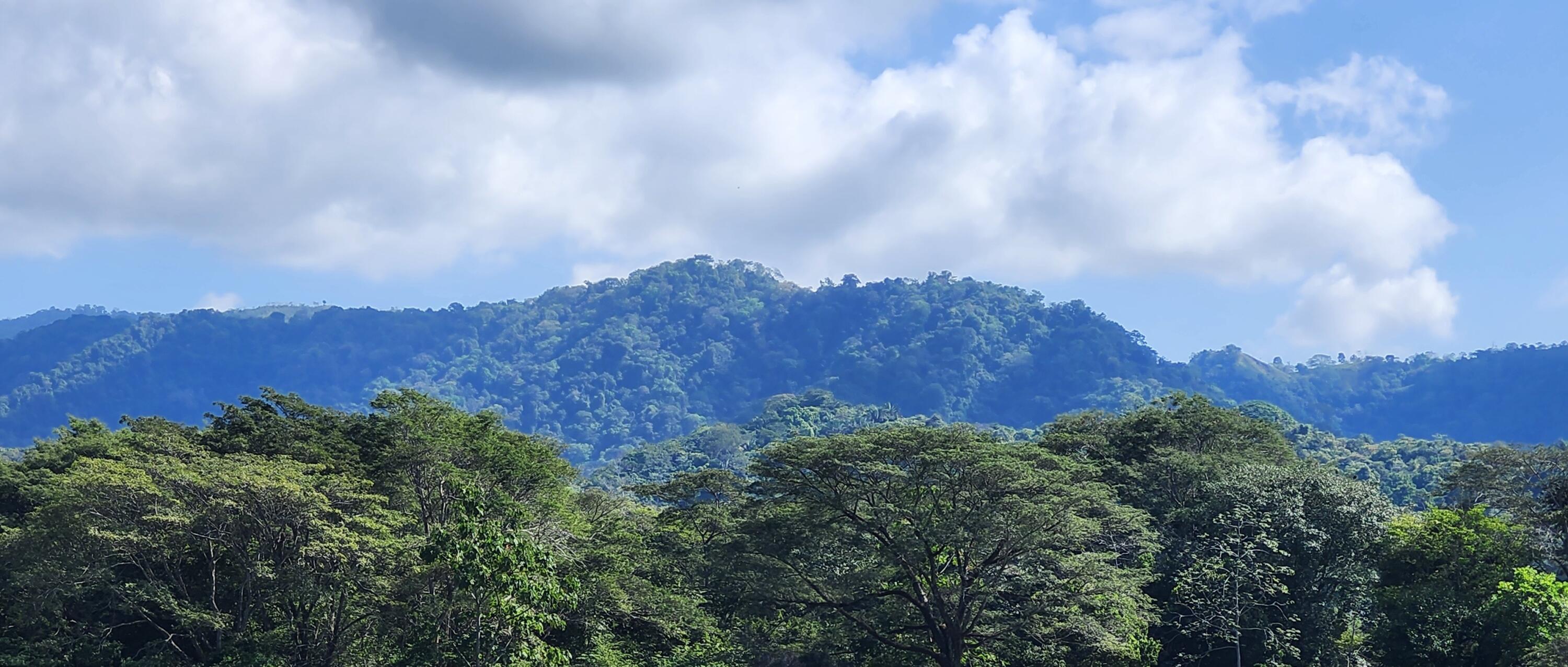 Sol Dorado Residencial - Residential