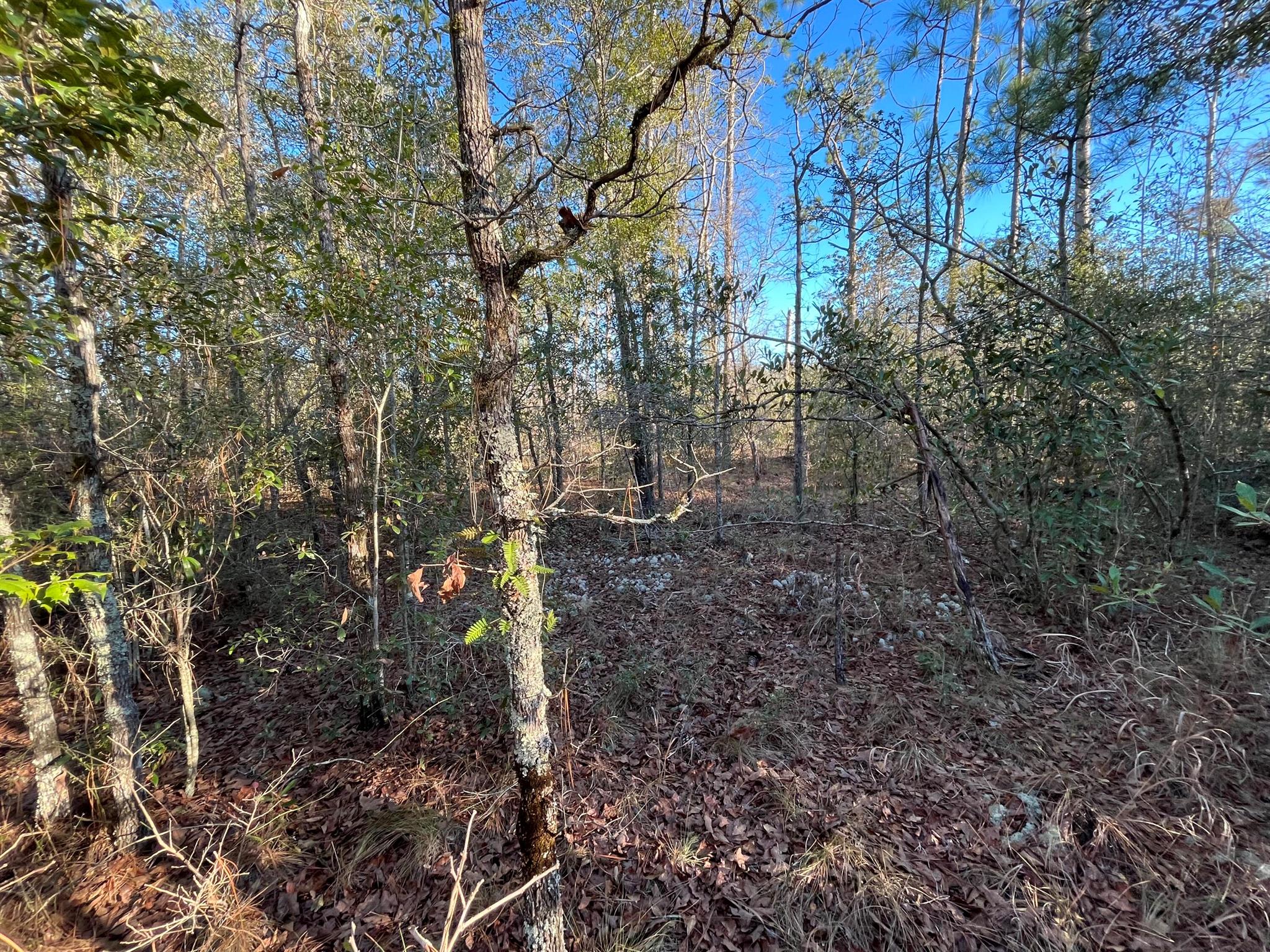 COMPASS LAKE HILLS - Land