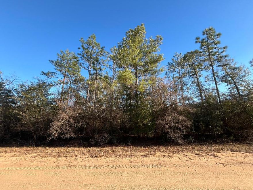 Owner Financing Available! Don't miss this wooded 1-acre residential lot in Compass Lake in the Hills, just outside of Marianna, FL. Mobile/manufactured homes now permitted with approval. This property offers a peaceful setting ideal for building your dream home, with nearby access to beautiful Compass Lake—a popular destination for boating, skiing, fishing, and swimming. The community also features a clubhouse with restaurant, tennis courts, swimming pool, picnic areas, and a business center. Located near Highway 231, this lot is approximately 45 minutes to Panama City and about an hour to the Gulf Coast's stunning beaches. It's a great opportunity to invest in the growing panhandle of Northwest Florida. For directional purposes, the lot is adjacent to 884 Goreville Ave, Alford, FL 3242