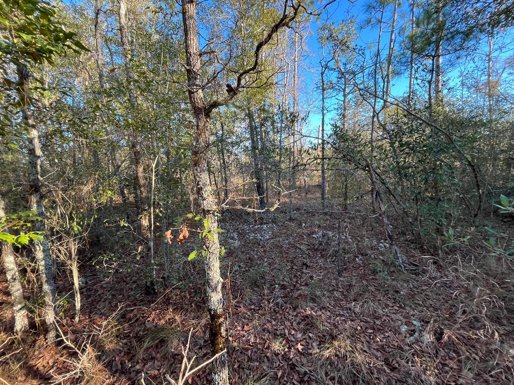 COMPASS LAKE HILLS - Land