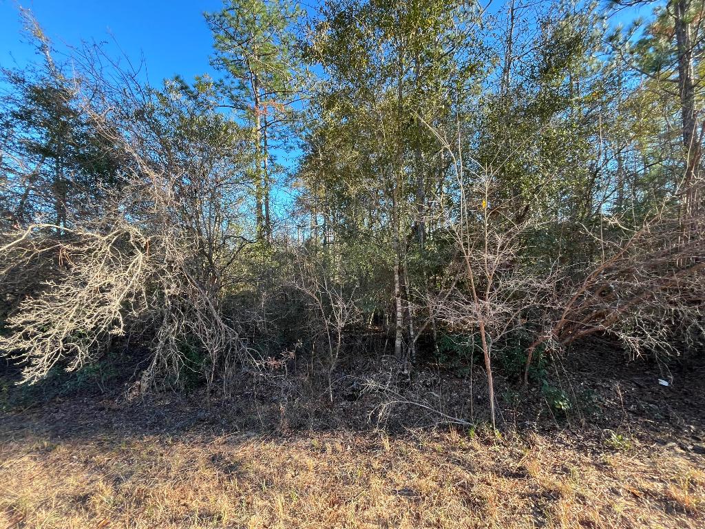 COMPASS LAKE HILLS - Land