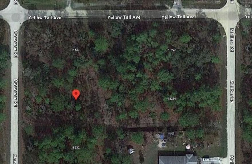 Build your dream home or invest for the future on this beautiful high & dry 0.45 acre lot. Located in the highly desirable Royal Highlands neighborhood, there is no HOA and no CDD. Enjoy a gorgeous country setting while still benefiting from nearby shopping centers and newer schools. Just minutes away from US Hwy 19 and the popular Weeki Wachee Water Ride Park, and only a short drive from the stunning Pine Island Beach!