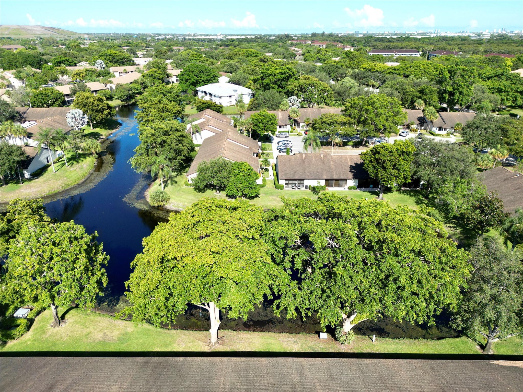 GINGER TREE - Residential