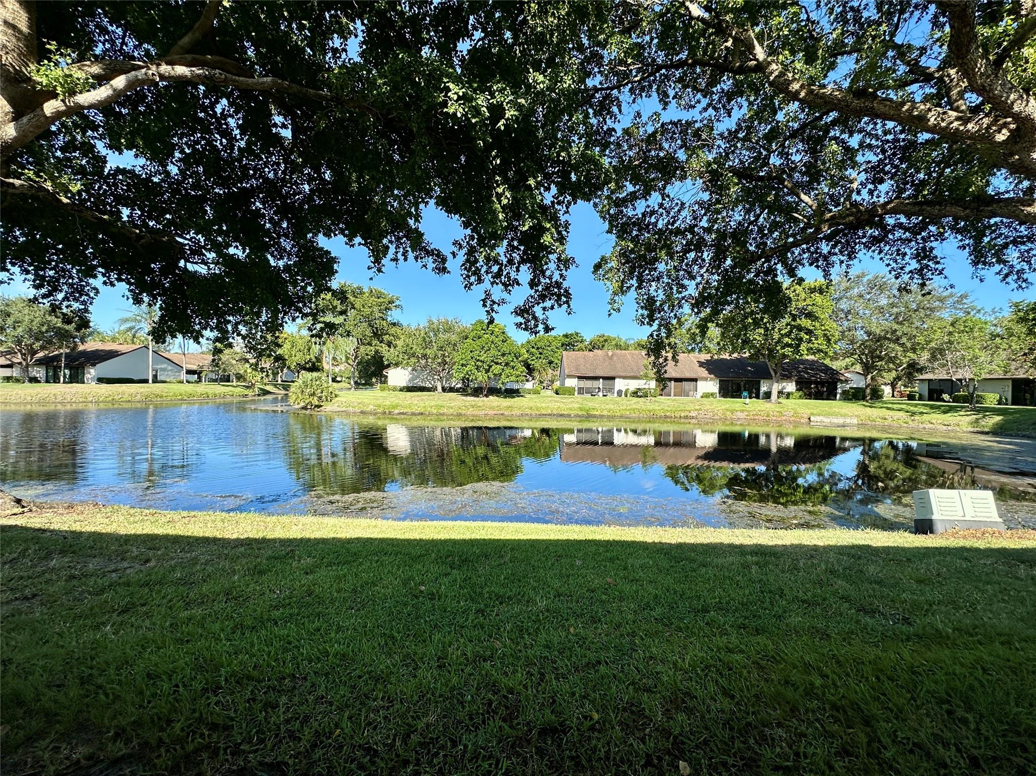GINGER TREE - Residential