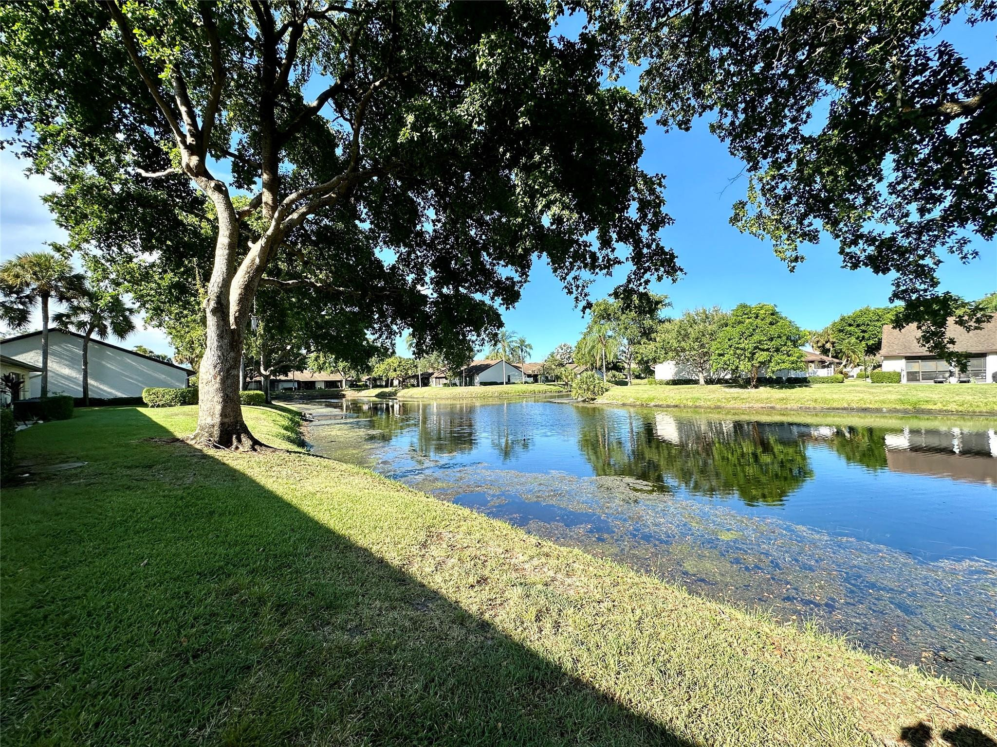 GINGER TREE - Residential