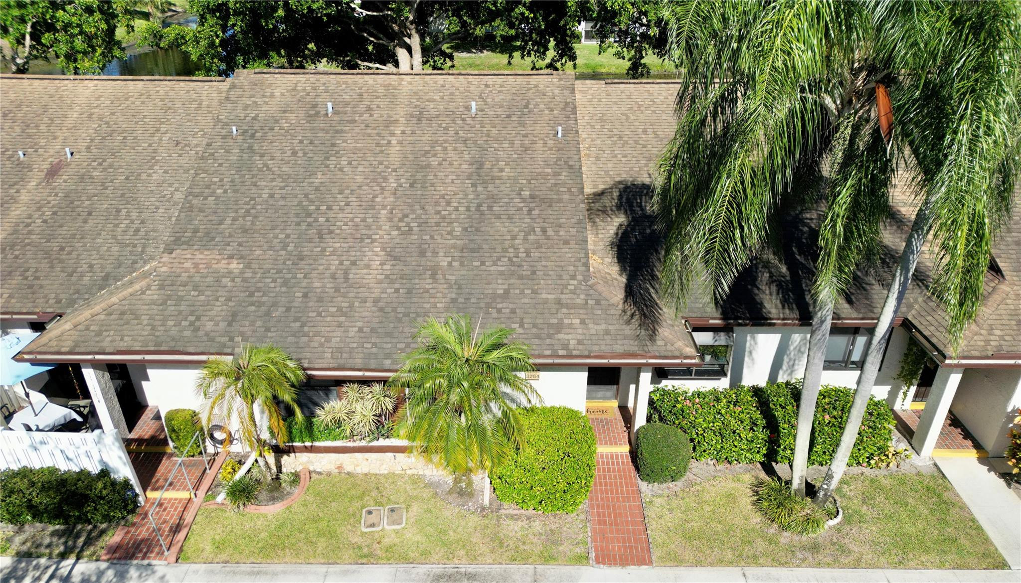 GINGER TREE - Residential