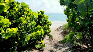 SEA BROOK PLACE CONDO - Residential Lease