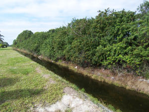 Tropical Breeze Estates - Residential