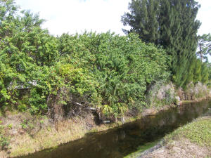 Tropical Breeze Estates - Residential