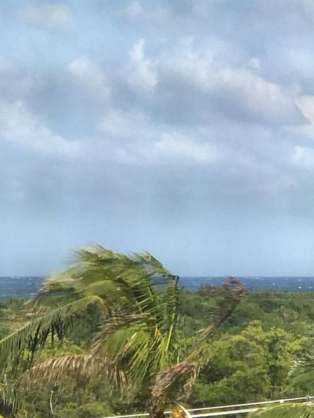 Photo of 275 Palm Avenue #C503, Jupiter, FL 33477 (MLS # R10759669)