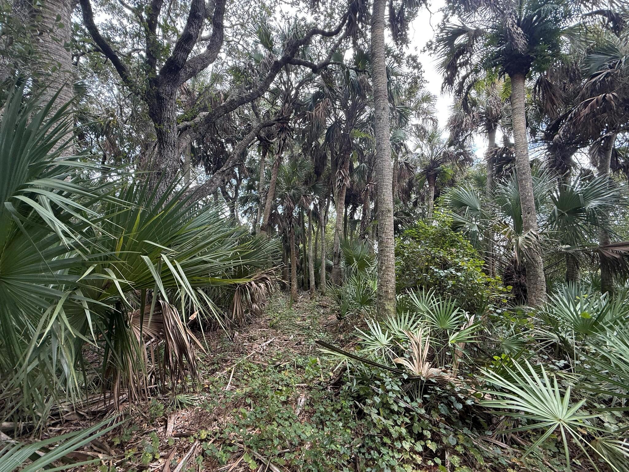 SOUTHERN COLONIZATION CO - Land
