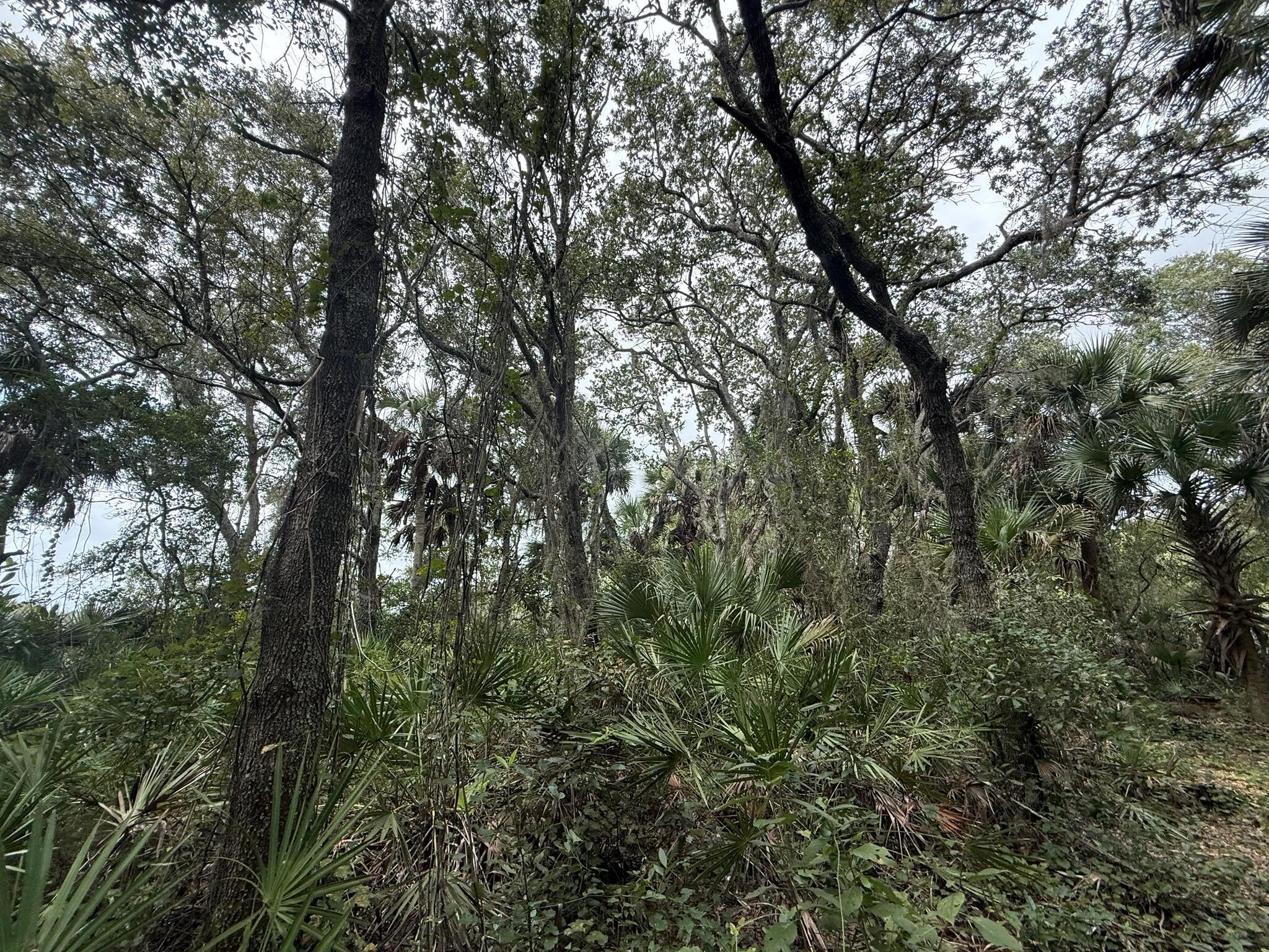 SOUTHERN COLONIZATION CO - Land