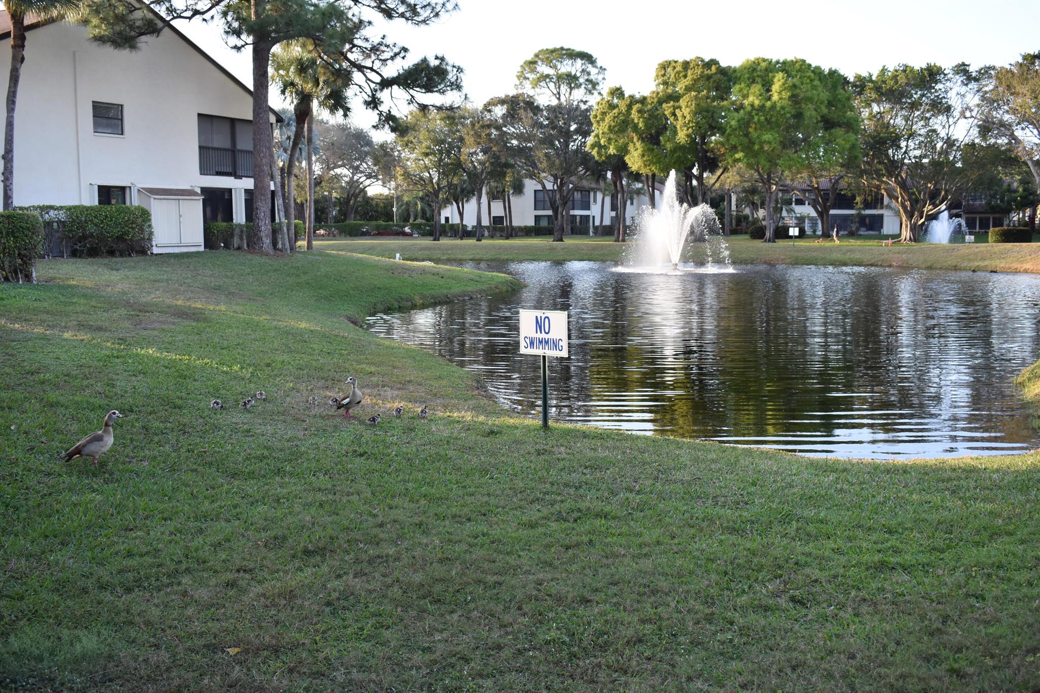 Desirable 2nd floor corner unit with a fabulous pond view from your screened enclosed patio. Located in the community of Park Pointe. This condo has 2 bedrooms, 2 full bathrooms, split floor plan. Plenty of windows that allow natural lights The community offers; clubhouse, community pool/spa, tennis, shuffleboard, game room, exercise facility and more. Conveniently located just 15 minutes to I-95 and 5 Minutes to the FL Turnpike, walking distance to shopping and dining. Available for immediate occupancy.