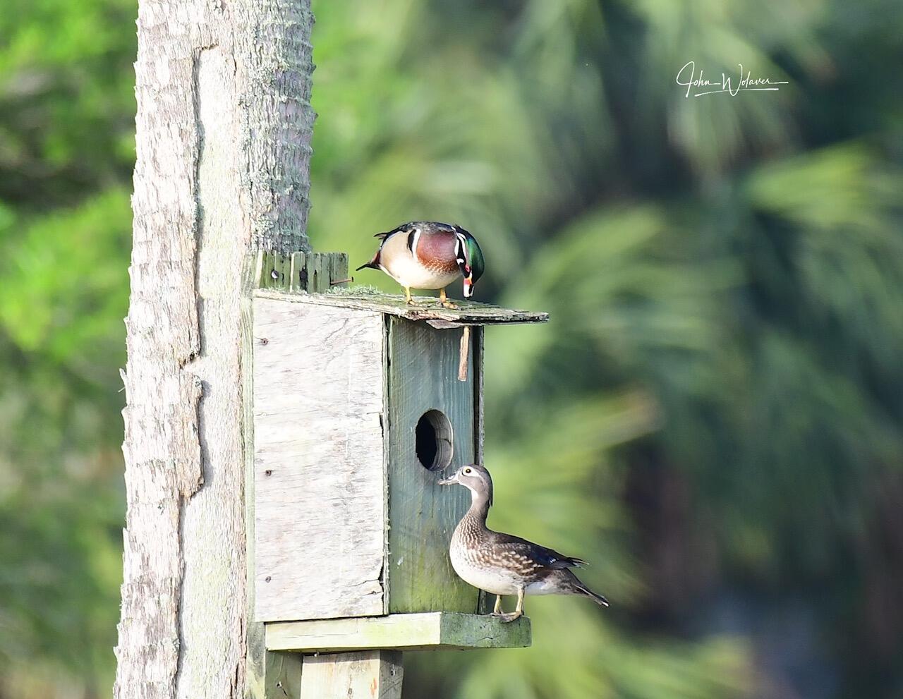INDIAN RIVER FARMS COMPANY - Residential