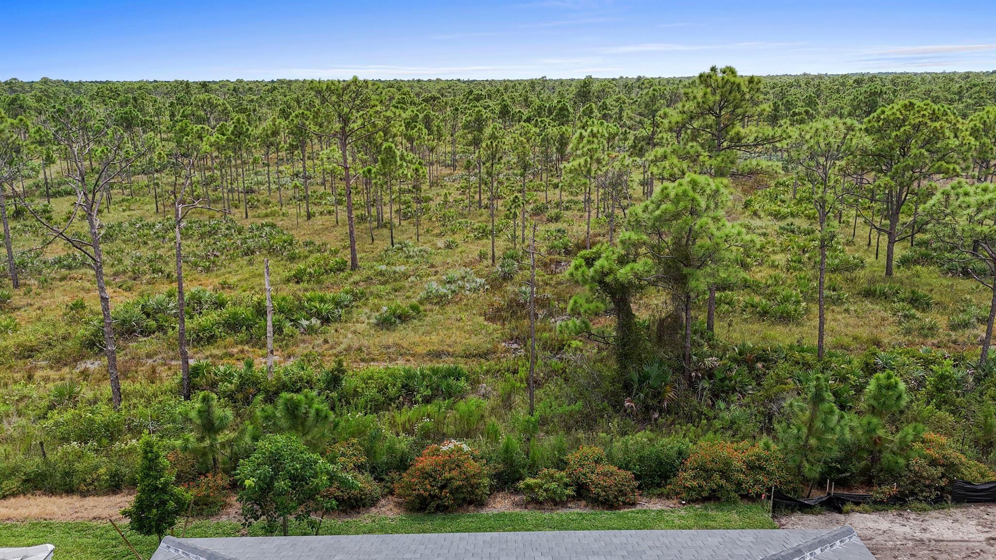 COVE ROYALE PUD PHASE 1 - Residential