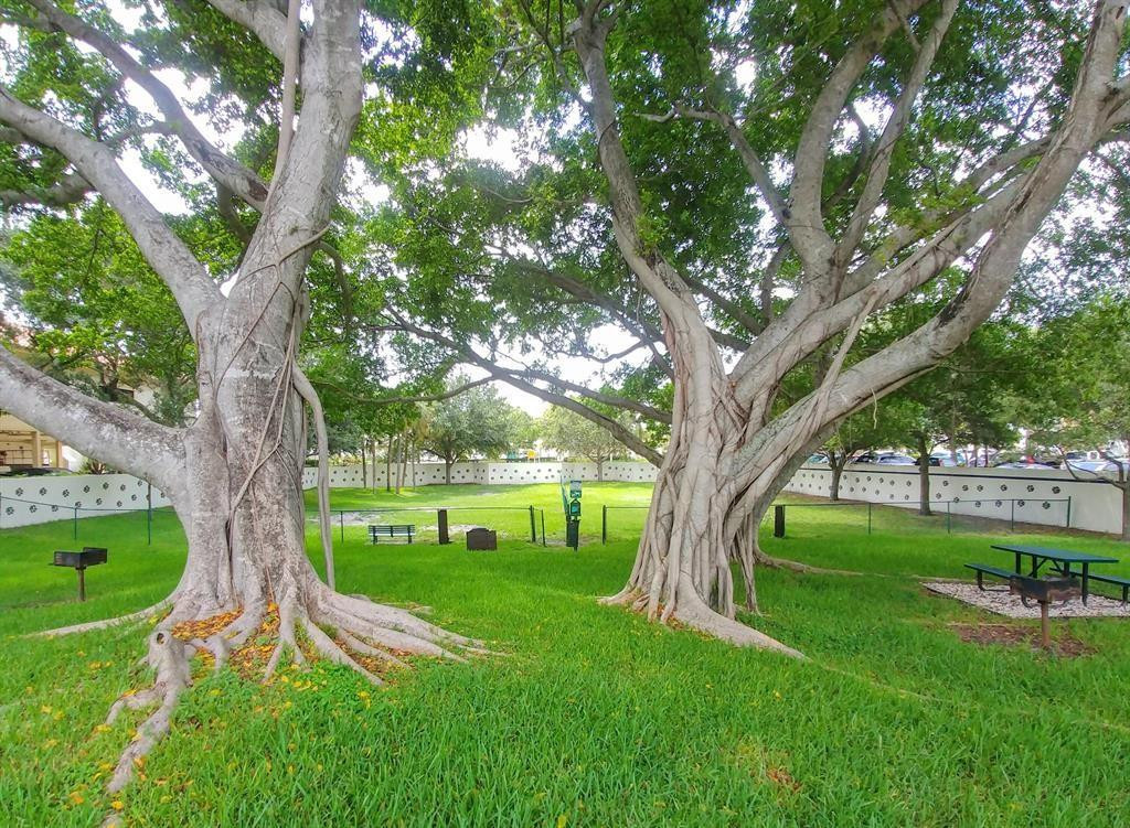 LAKE WINDWOOD - Residential