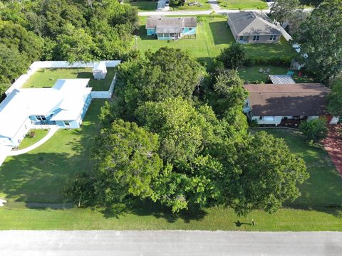 462 Joy Haven Drive Sebastian FL 32958