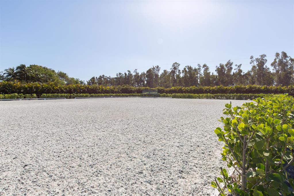 Palm Beach Point - Residential