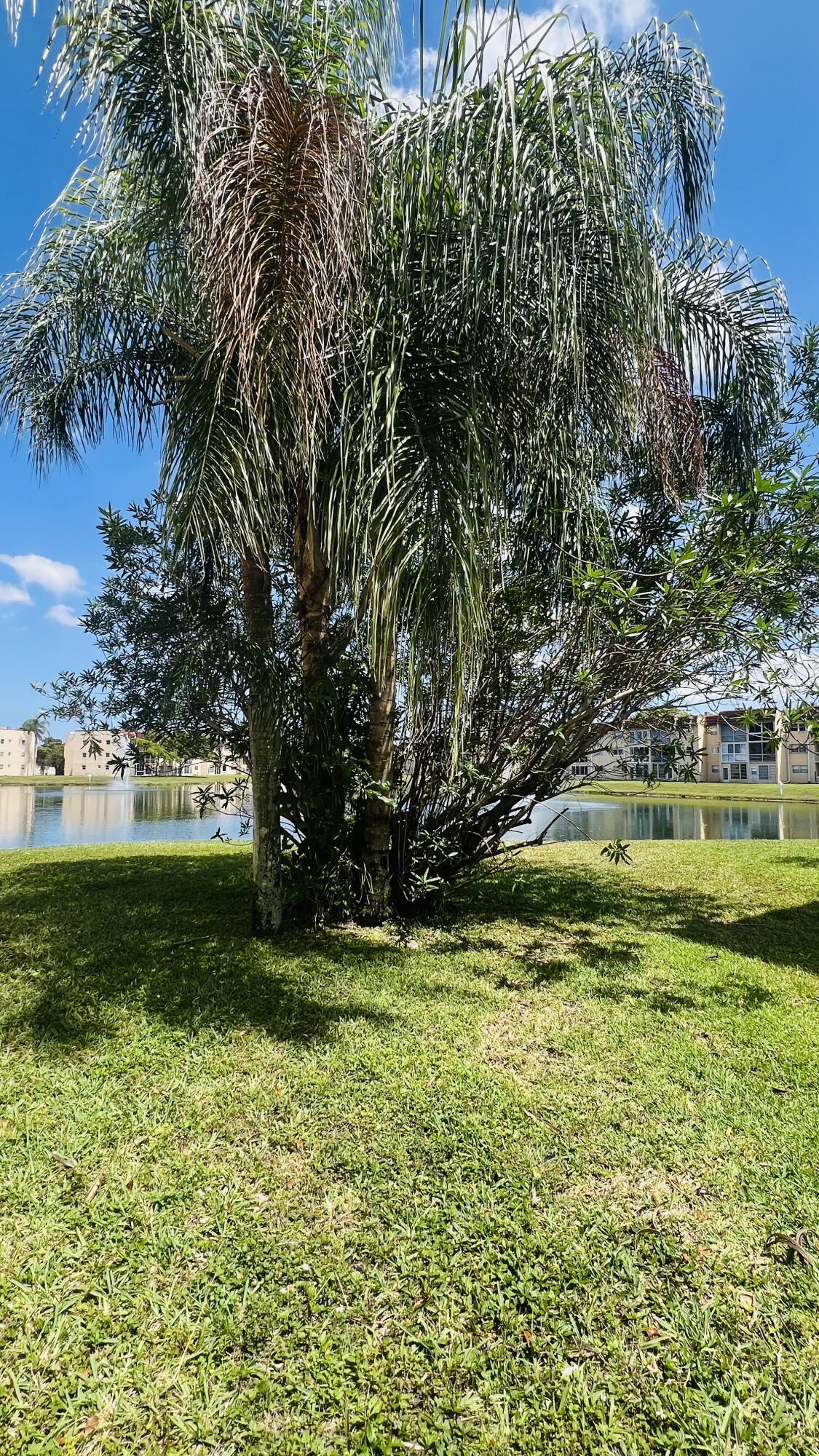 8920 Sunrise Lakes Boulevard 208