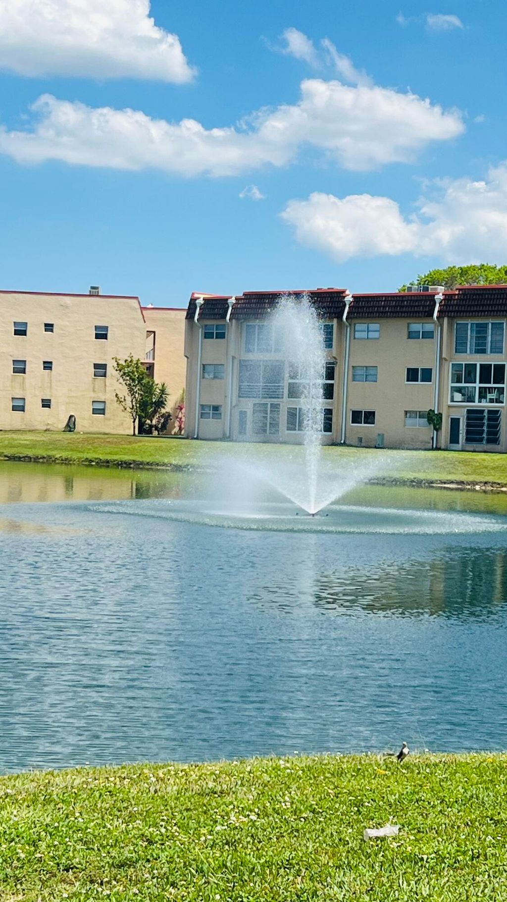 Photo of 8920 Sunrise Lakes Boulevard #208, Sunrise, FL 33322 (MLS # B26035501)