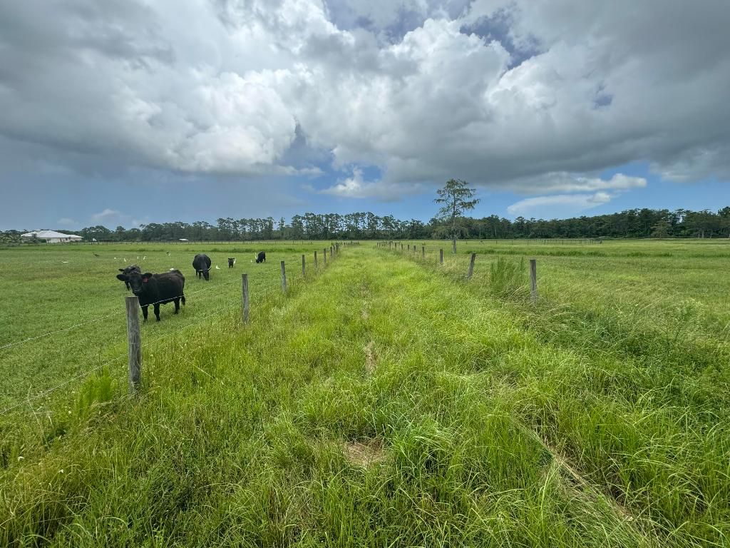 Photo of 3503 SW Trailside Path, Stuart, FL 34997 (MLS # R11038346)