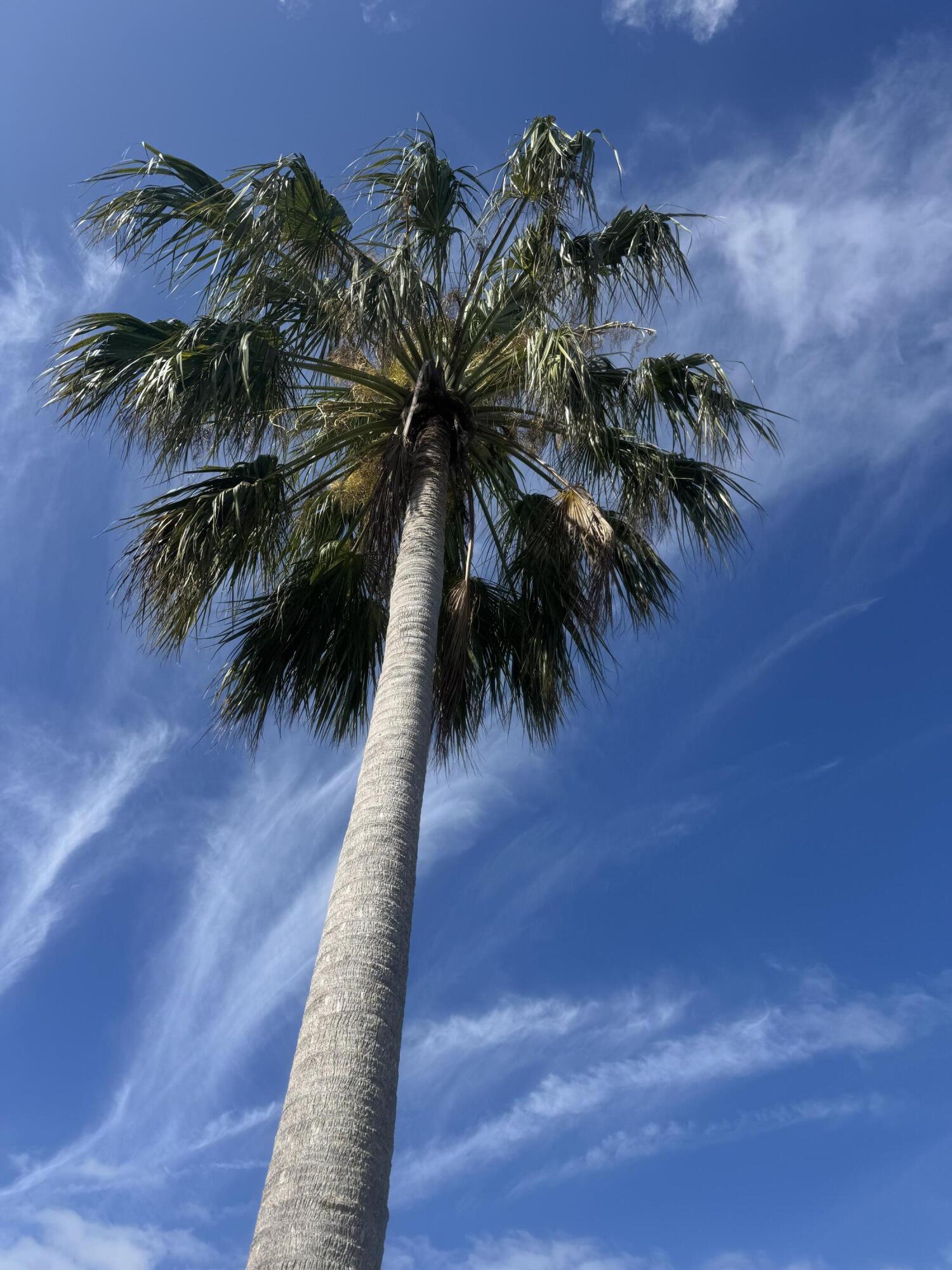 THE SANDS SECTION 1 CONDOMINIUM - Residential