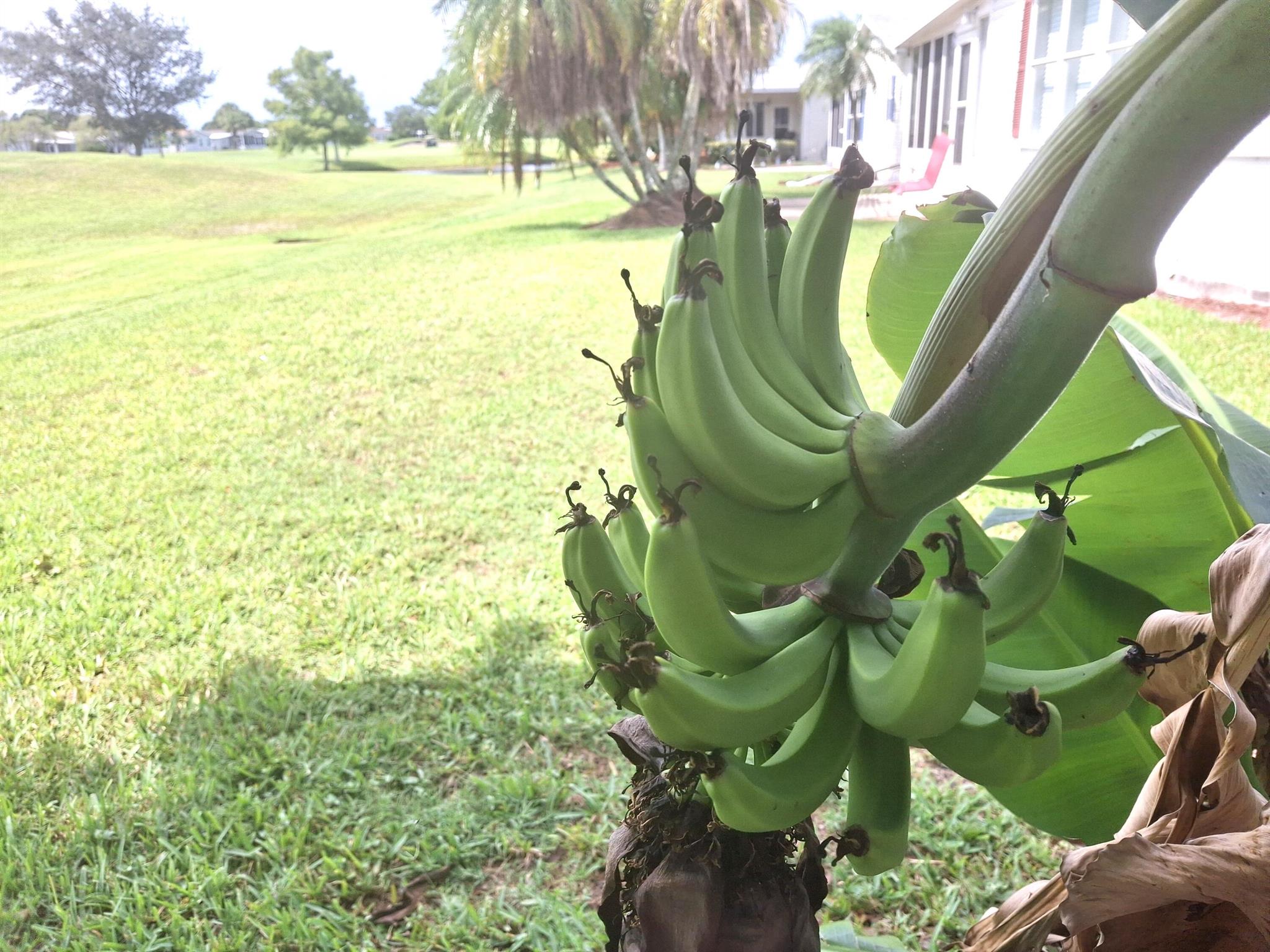 THE PRESERVE AT SAVANNA C - Residential