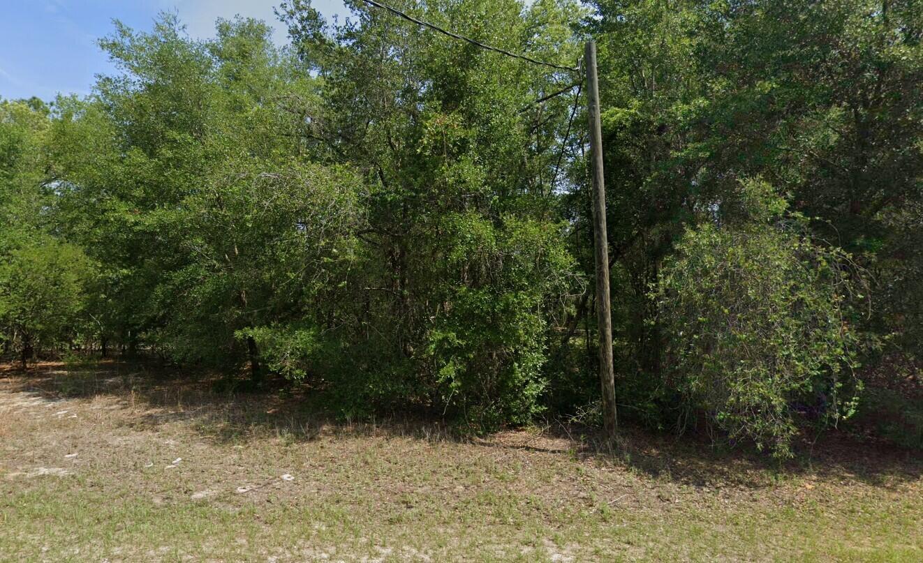1814 W Magenta Drive