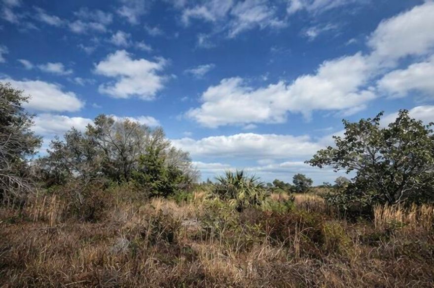 1.5-acre vacant parcel located in a peaceful rural area of Okeechobee County. This property offers privacy, open space, and excellent potential for investment or future development.